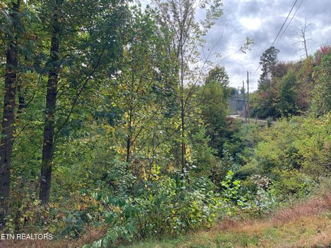 Tiny photo for 707 Pinecrest Drive, Gatlinburg, TN 37738 (MLS # 1320200)