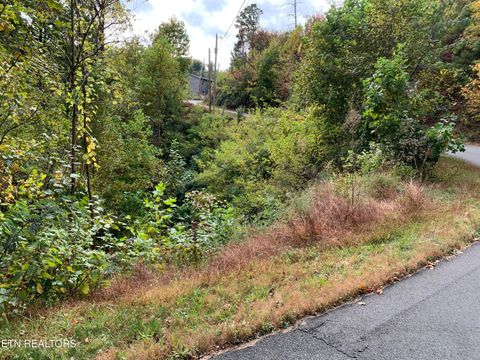 Photo of 707 Pinecrest Drive, Gatlinburg, TN 37738 (MLS # 1320200)