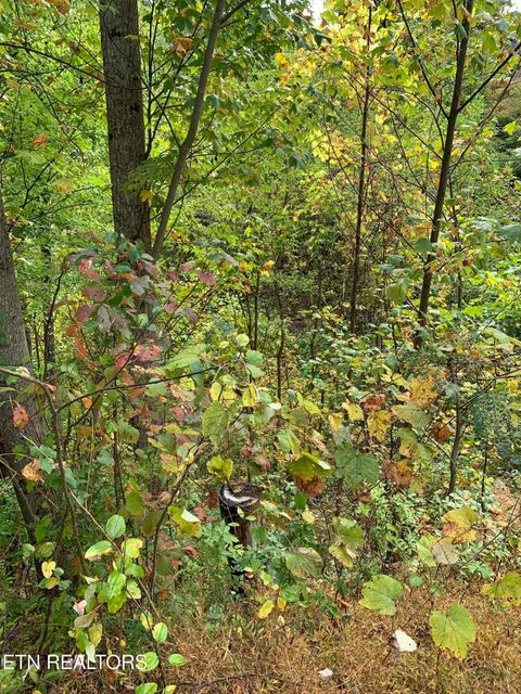 Tiny photo for 707 Pinecrest Drive, Gatlinburg, TN 37738 (MLS # 1320200)