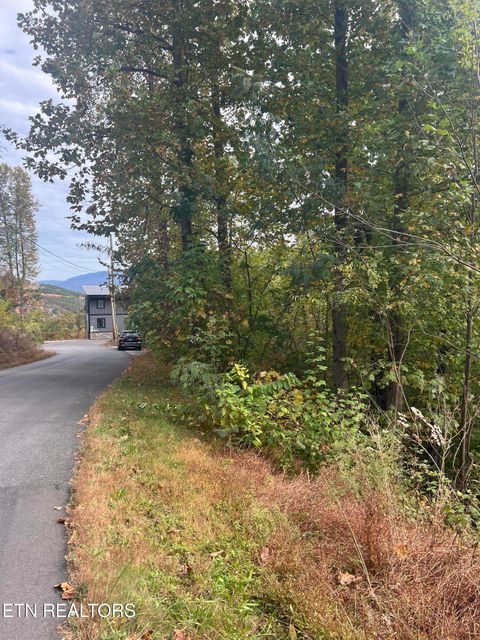Tiny photo for 707 Pinecrest Drive, Gatlinburg, TN 37738 (MLS # 1320200)