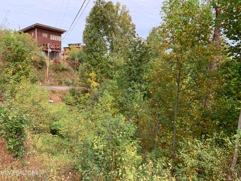 Tiny photo for 707 Pinecrest Drive, Gatlinburg, TN 37738 (MLS # 1320200)
