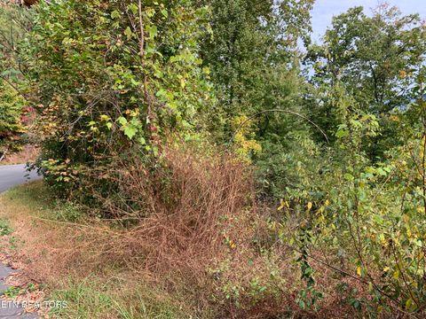 Tiny photo for 707 Pinecrest Drive, Gatlinburg, TN 37738 (MLS # 1320200)