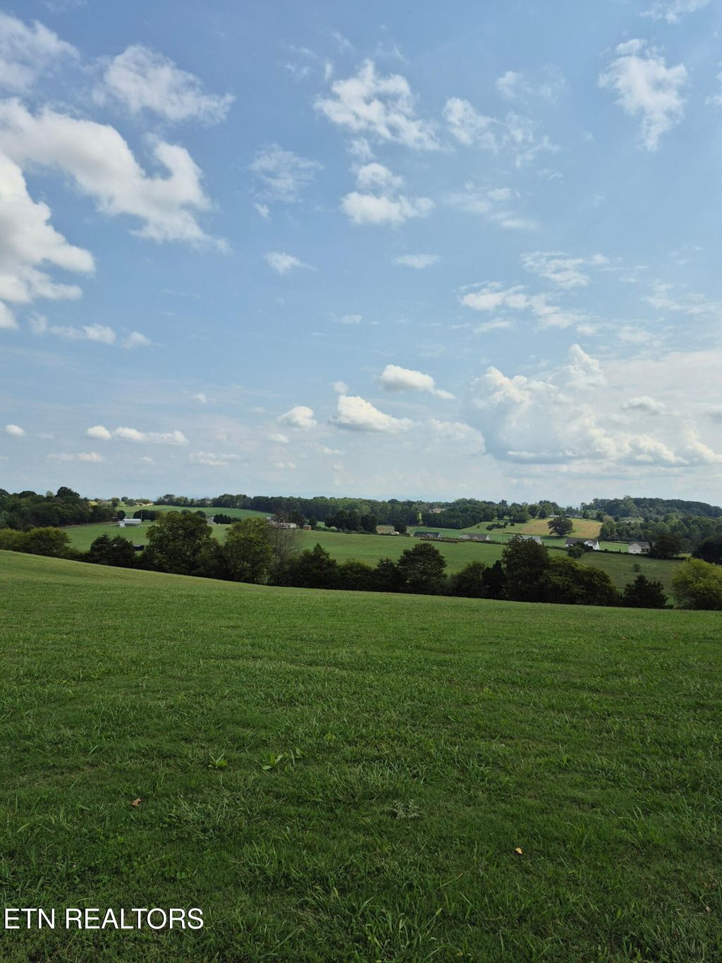 Photo of 253 Old Christianburg Rd, Madisonville, TN 37354 (MLS # 1318237)