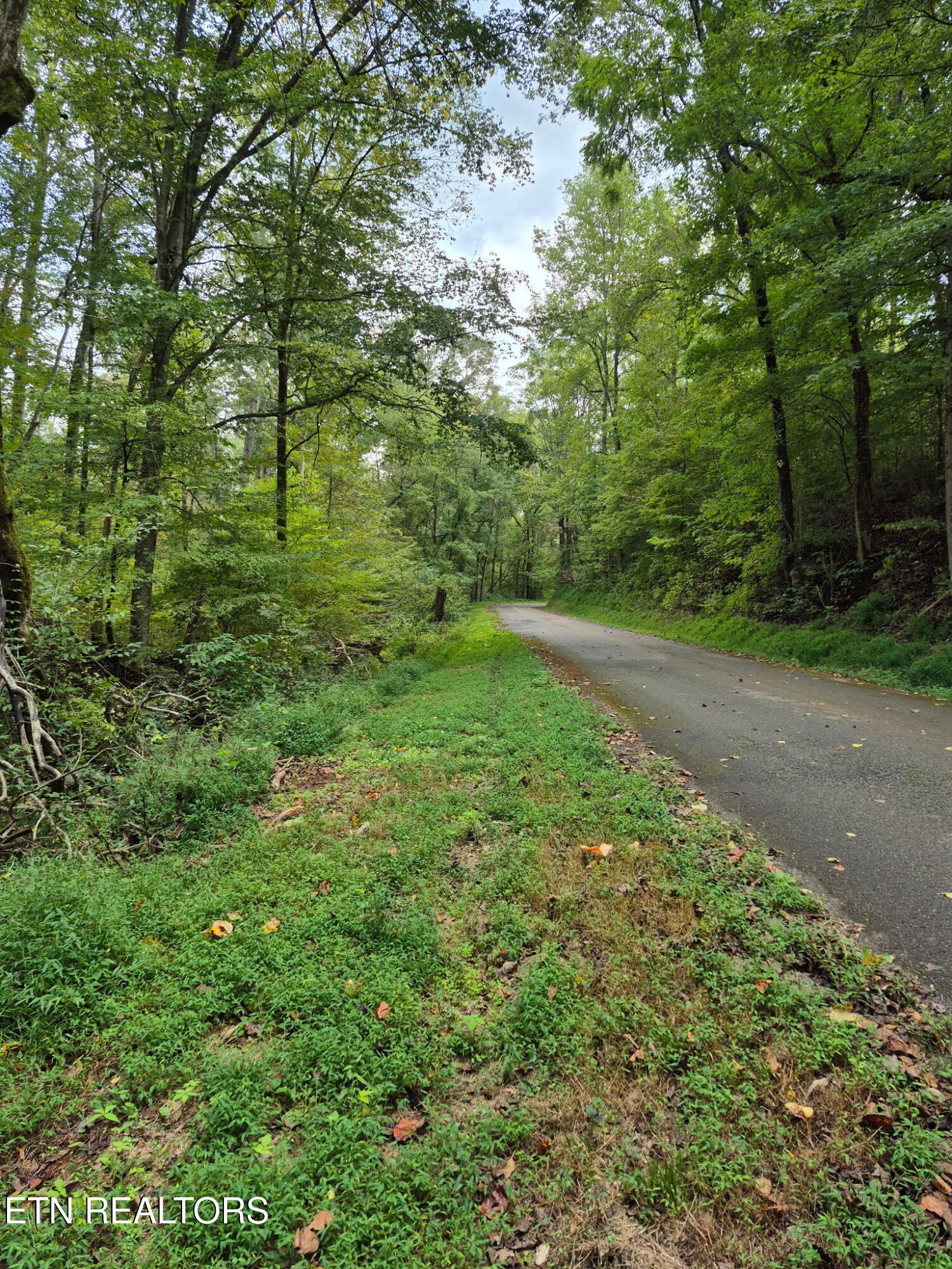253 Old Christianburg Rd