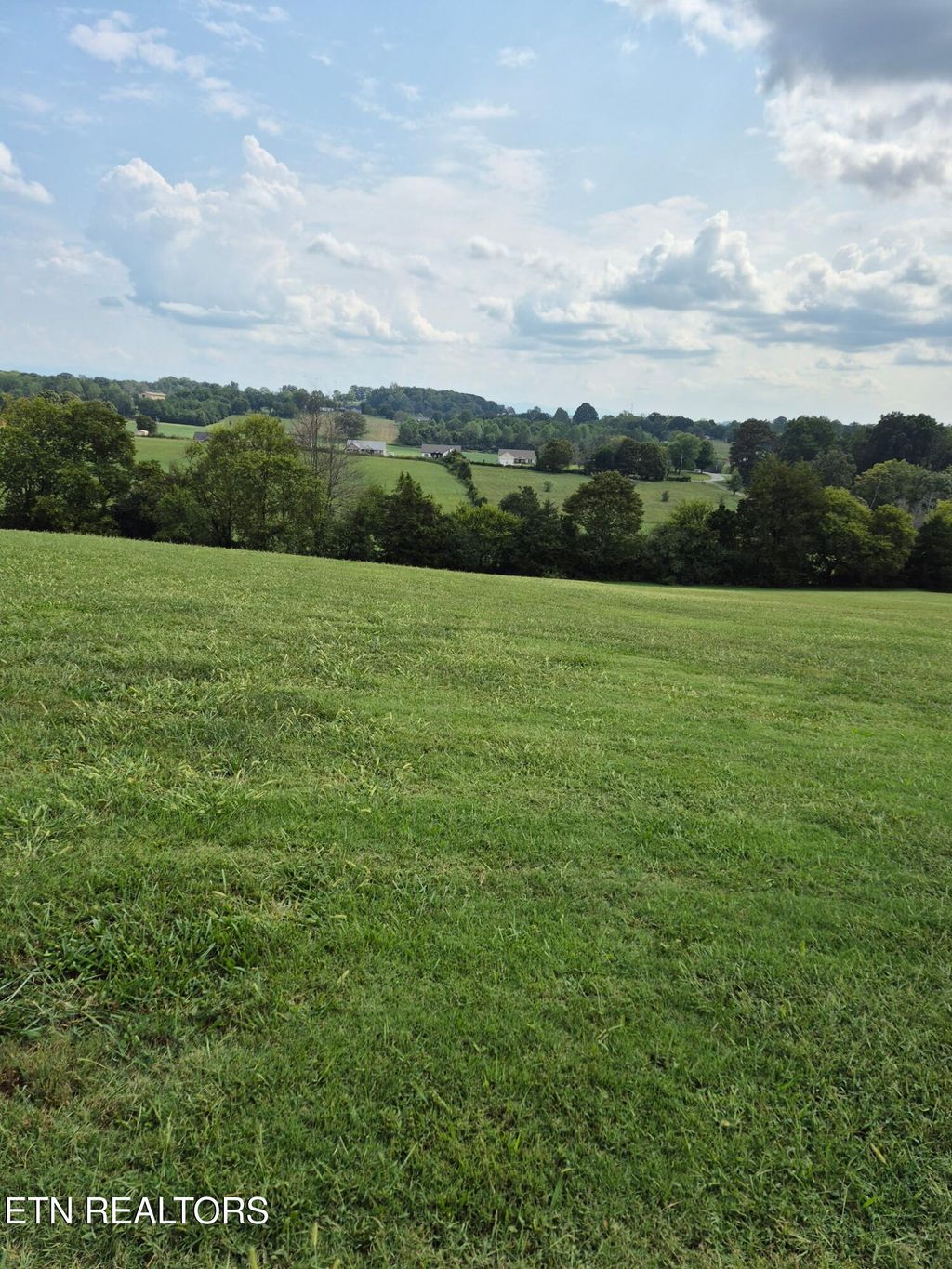 Photo of 253 Old Christianburg Rd, Madisonville, TN 37354 (MLS # 1318237)