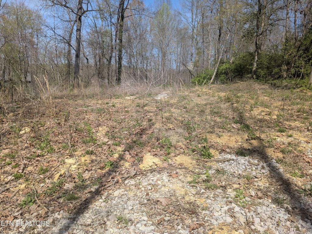 Photo of 2147 Belt Rd, Knoxville, TN 37920 (MLS # 1334801)