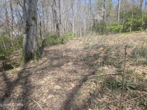 Tiny photo for 2147 Belt Rd, Knoxville, TN 37920 (MLS # 1334801)
