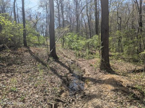 Tiny photo for 2147 Belt Rd, Knoxville, TN 37920 (MLS # 1334801)