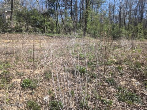 Tiny photo for 2147 Belt Rd, Knoxville, TN 37920 (MLS # 1334801)