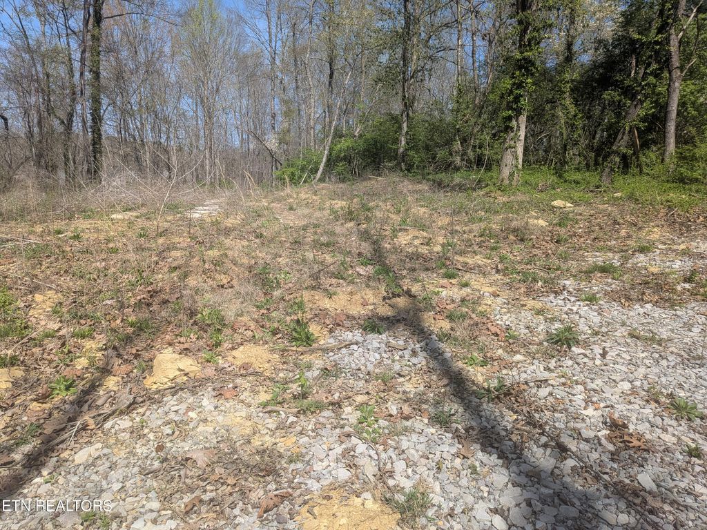 Photo of 2147 Belt Rd, Knoxville, TN 37920 (MLS # 1334801)
