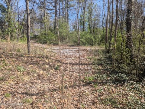 Tiny photo for 2147 Belt Rd, Knoxville, TN 37920 (MLS # 1334801)