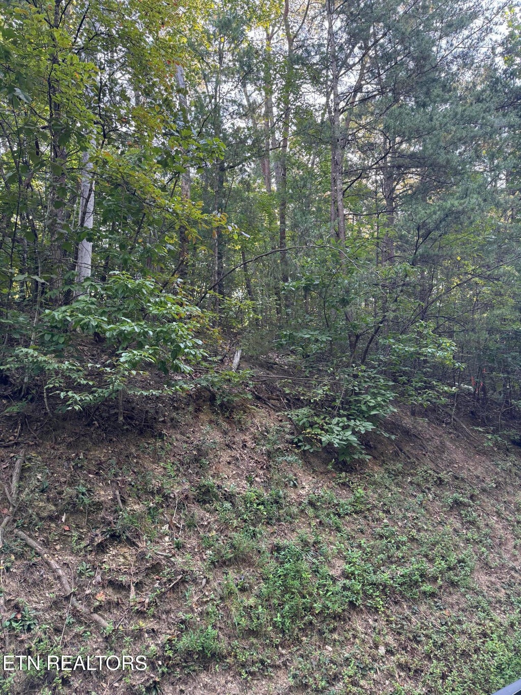 Photo of Progess Hill Drive Blvd, Pigeon Forge, TN 37863 (MLS # 1356747)