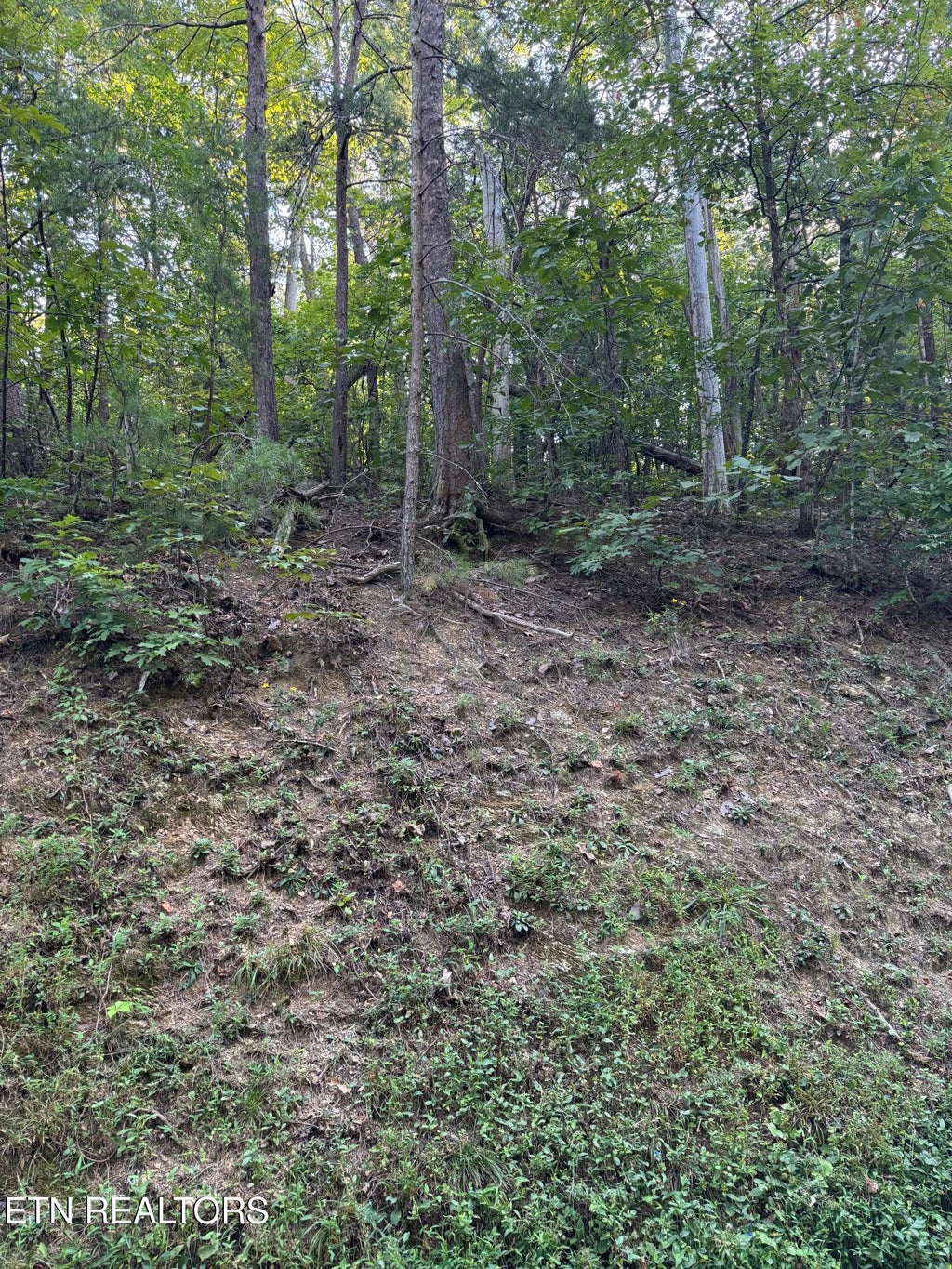 Photo of Progess Hill Drive Blvd, Pigeon Forge, TN 37863 (MLS # 1356747)