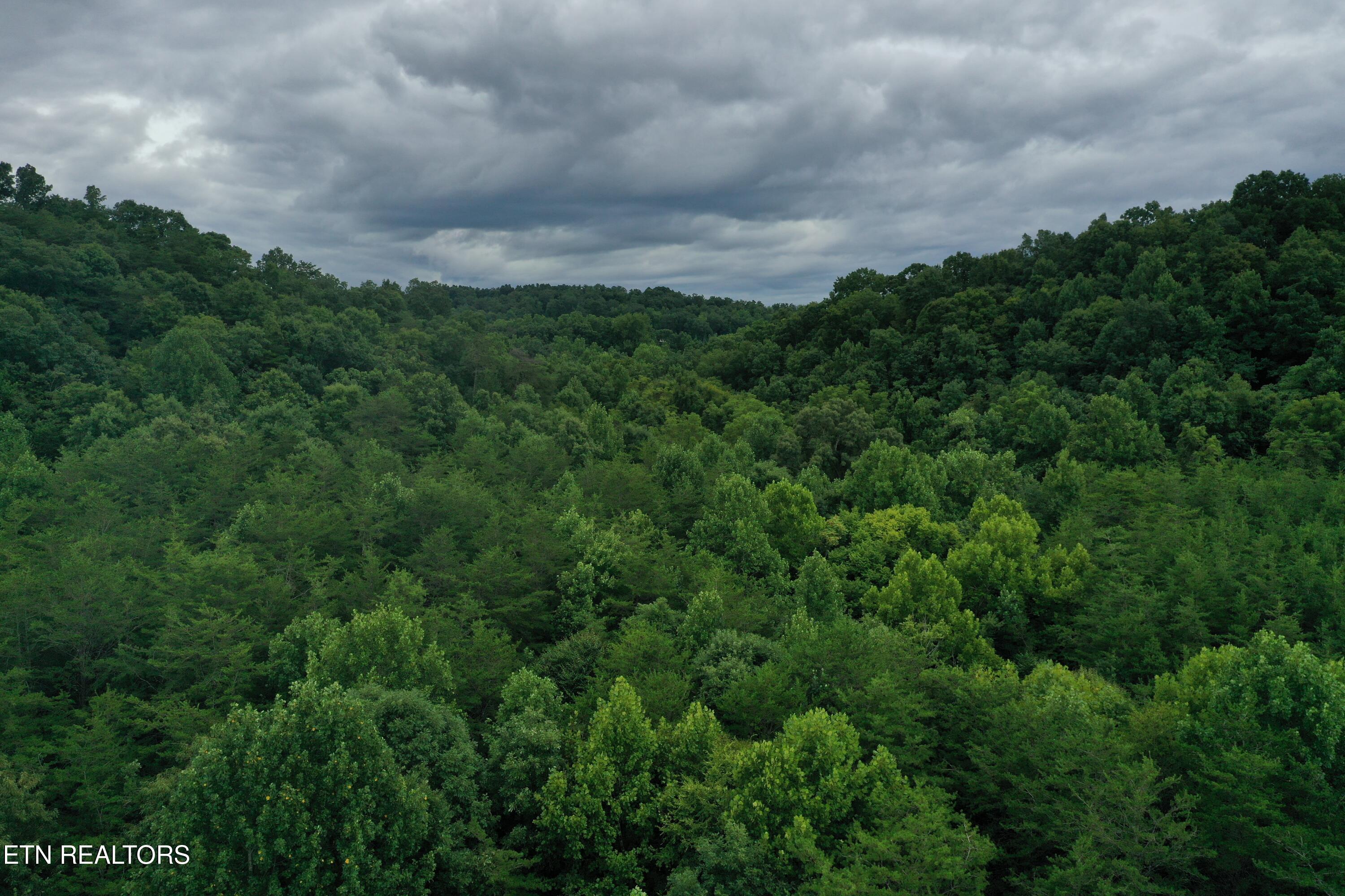 66.48 acres Milldale Rd
