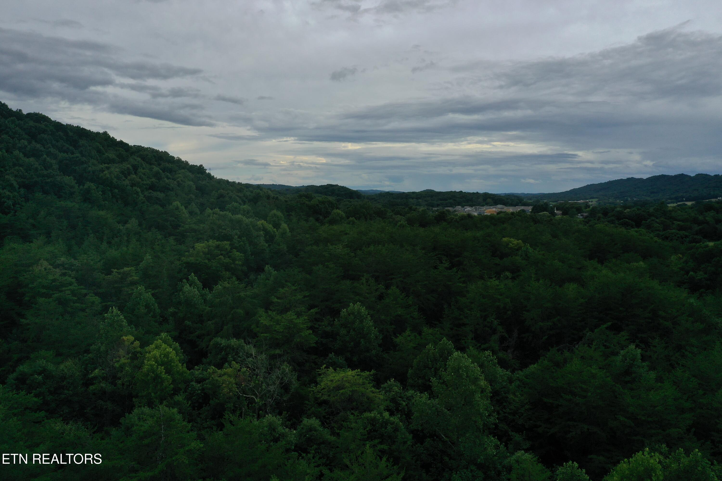 66.48 acres Milldale Rd