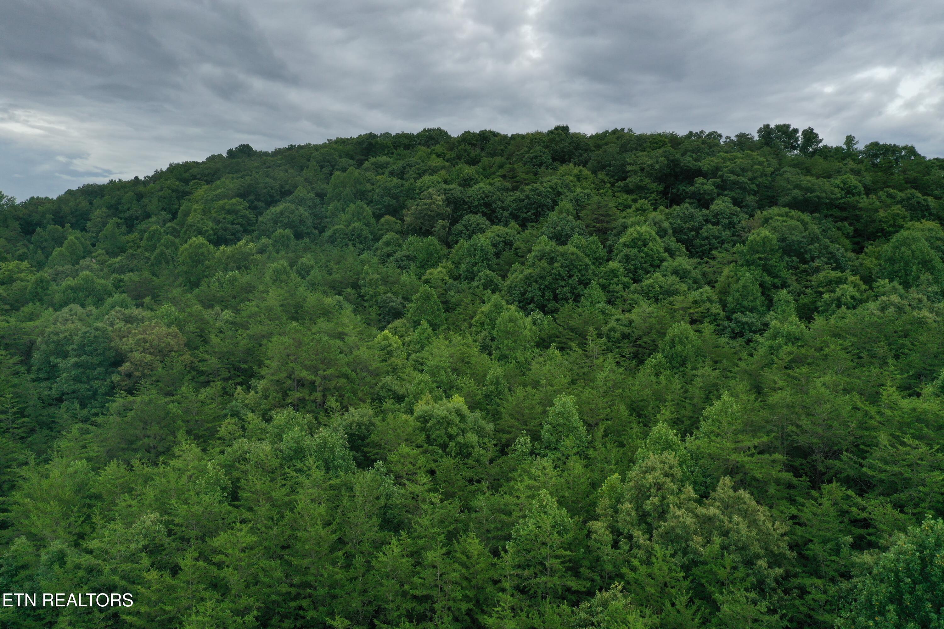 66.48 acres Milldale Rd