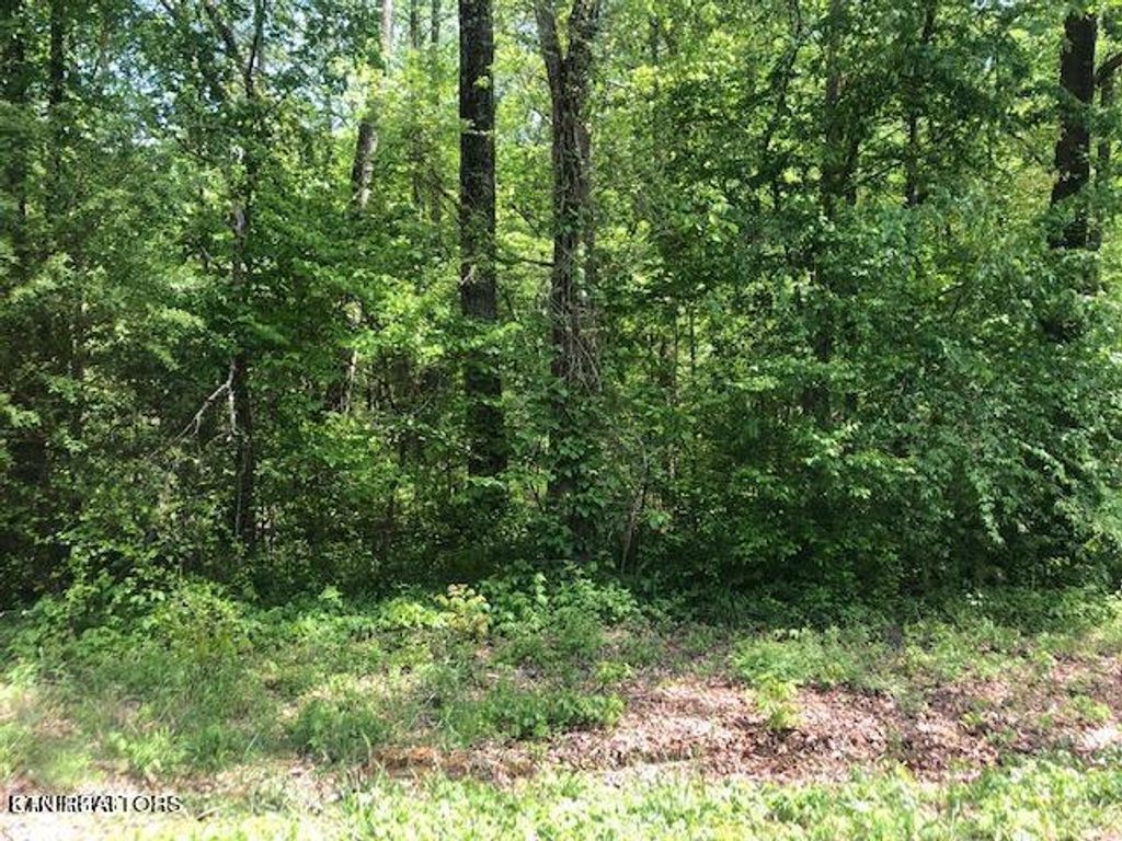 Photo of Sunrise Lane Lane, Decatur, TN 37322 (MLS # 1244633)