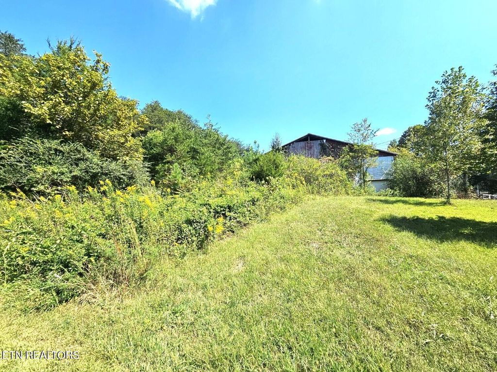 Photo of Reagan Valley Rd, Tellico Plains, TN 37385 (MLS # 1241809)