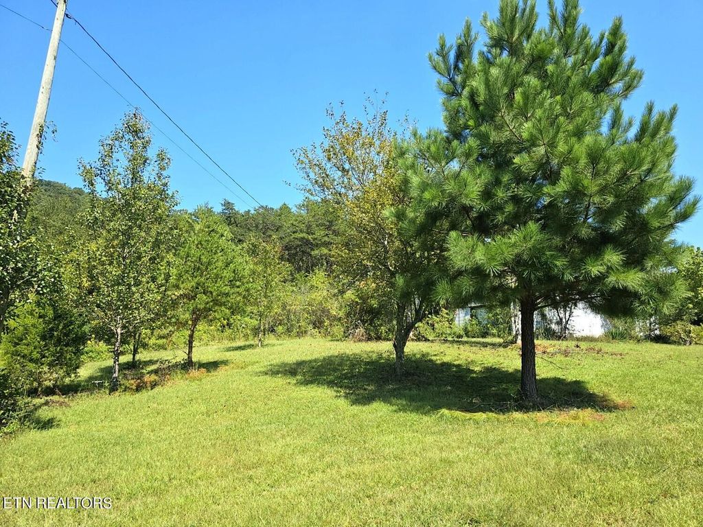 Photo of Reagan Valley Rd, Tellico Plains, TN 37385 (MLS # 1241809)