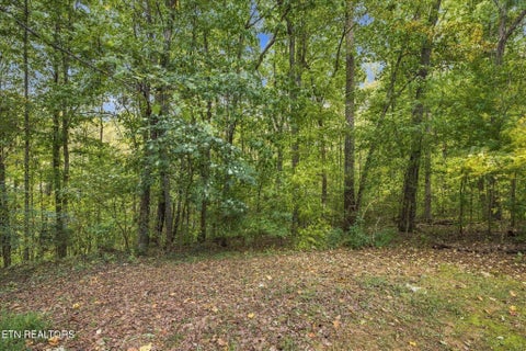 Tiny photo for 4750 Dogwood Lane, Strawberry Plains, TN 37871 (MLS # 1359892)