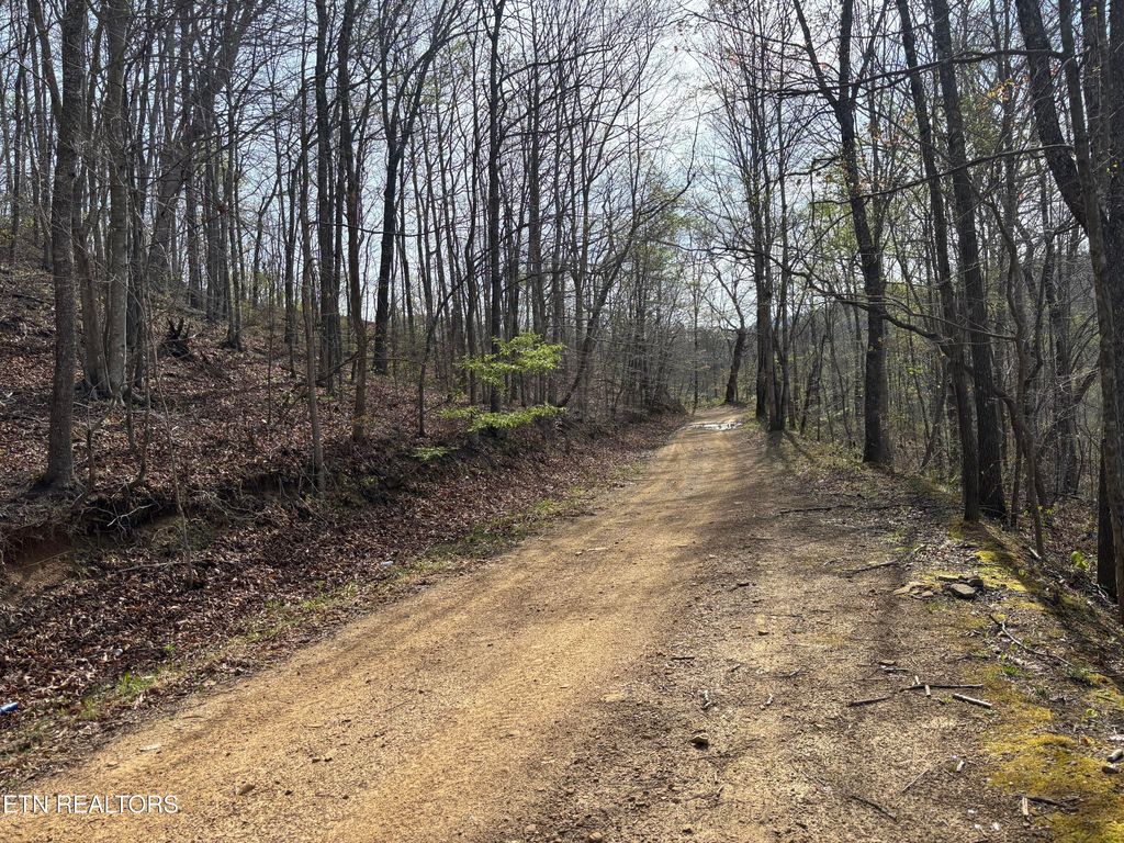 Photo of Lawson Rd, Huntsville, TN 37756 (MLS # 1336594)