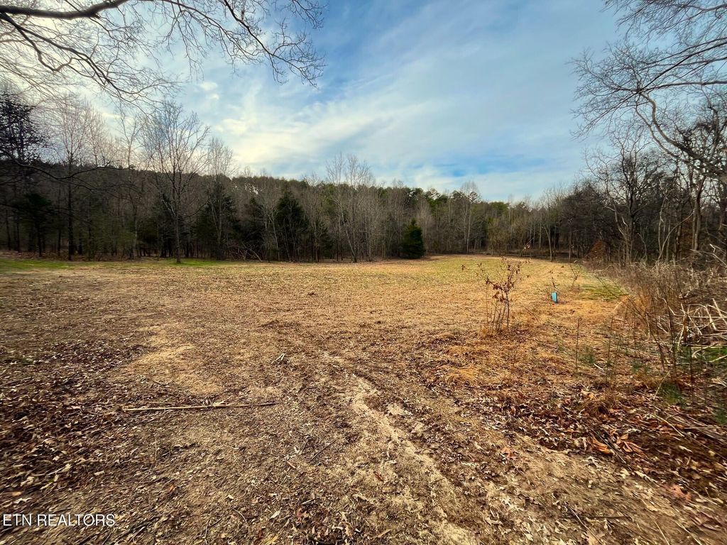 Photo of 19 Pleasant View Cemetery Rd, New Market, TN 37820 (MLS # 1326761)