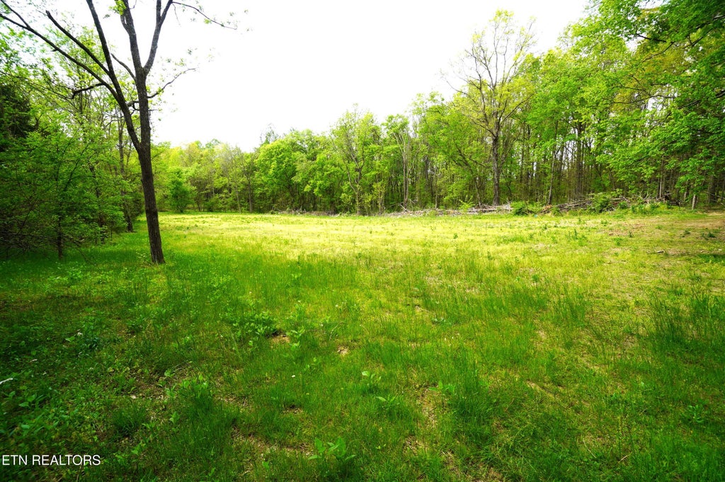Photo of 19 Pleasant View Cemetery Rd, New Market, TN 37820 (MLS # 1326761)