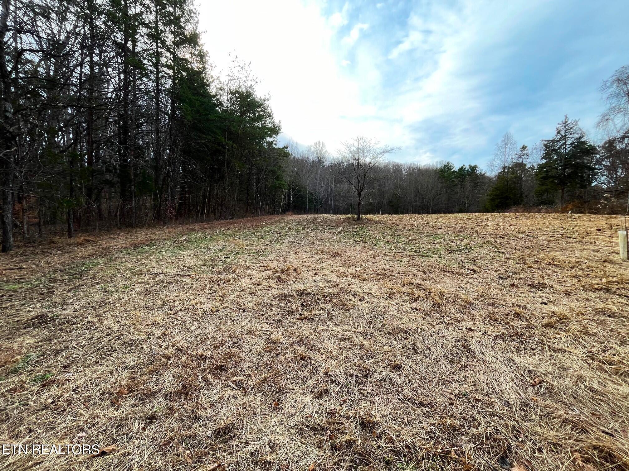 Tract 19 Pleasant View Cemetery Rd