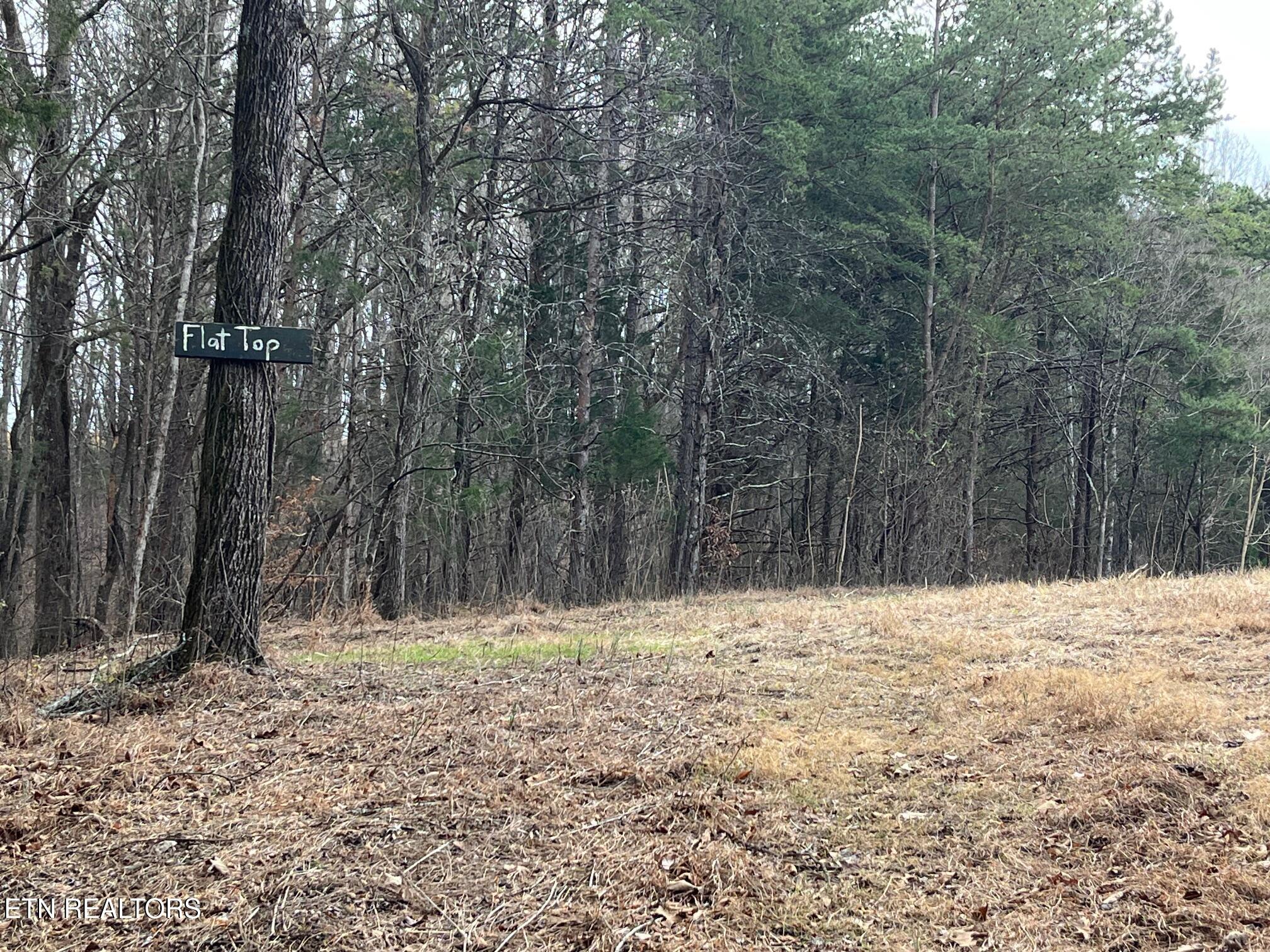 Tract 19 Pleasant View Cemetery Rd