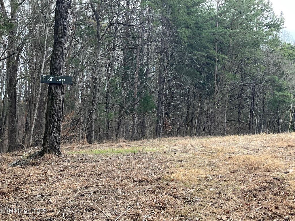 Photo of 19 Pleasant View Cemetery Rd, New Market, TN 37820 (MLS # 1326761)