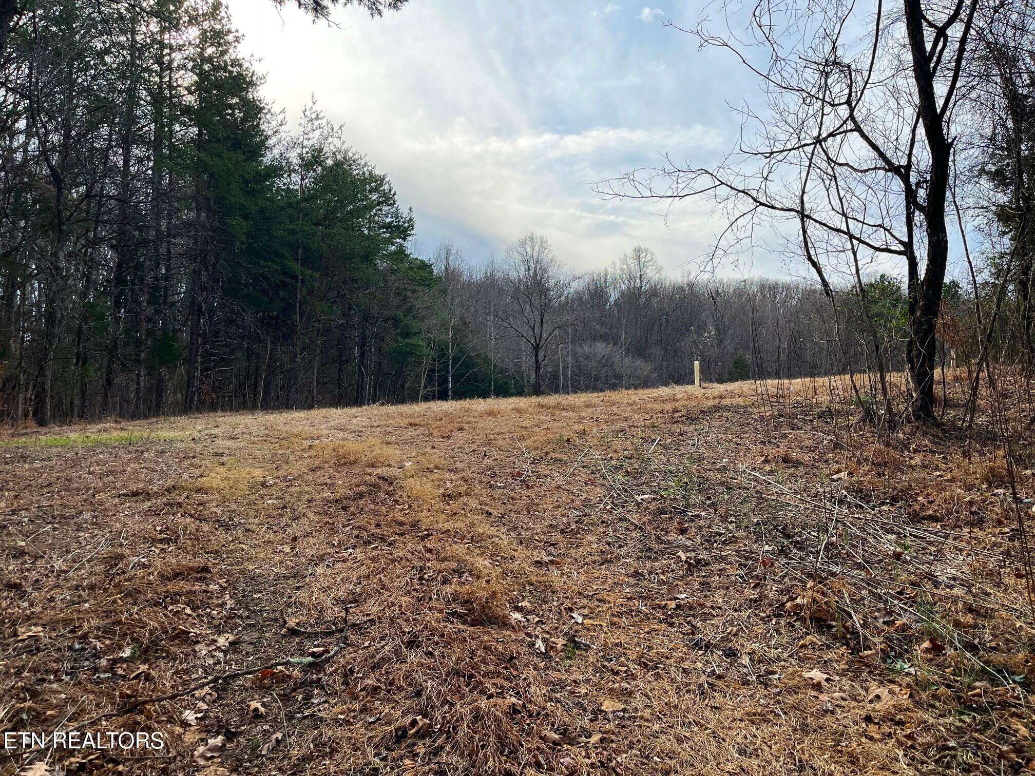 Tract 19 Pleasant View Cemetery Rd