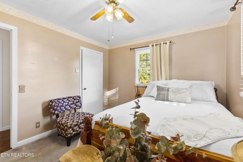 Tiny photo for 144 Hugh Hayes Lane, Bean Station, TN 37708 (MLS # 1313544)