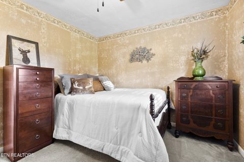 Tiny photo for 144 Hugh Hayes Lane, Bean Station, TN 37708 (MLS # 1313544)
