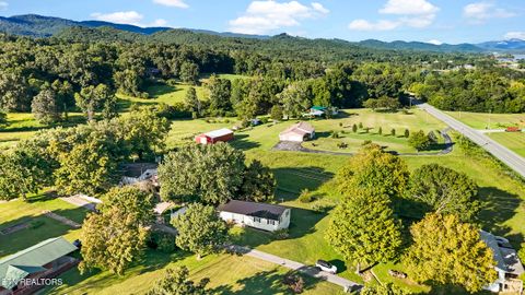 Tiny photo for 144 Hugh Hayes Lane, Bean Station, TN 37708 (MLS # 1313544)