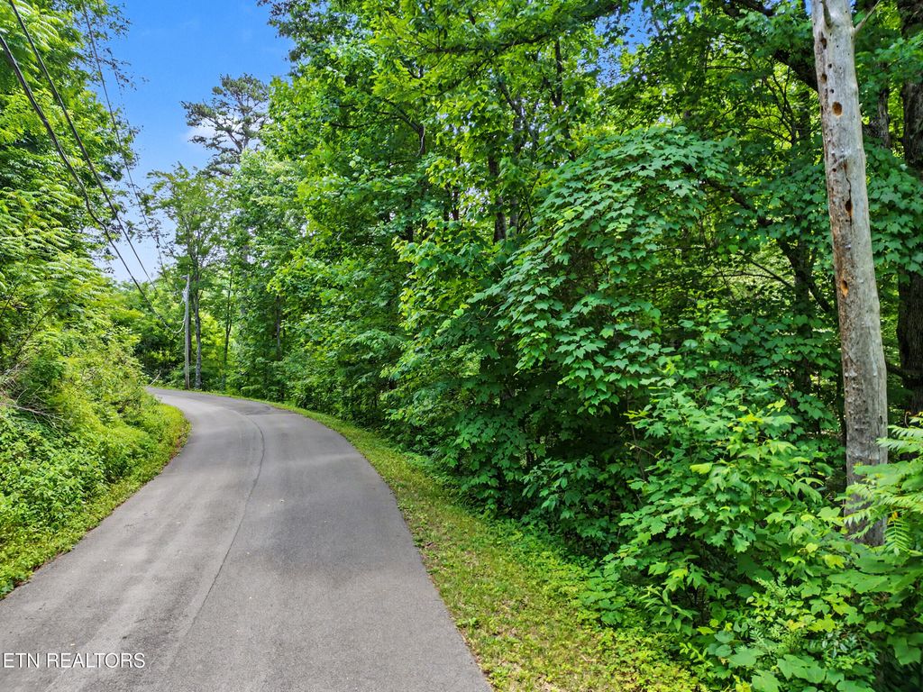 Photo of Twin Oaks Rd #39, Gatlinburg, TN 37738 (MLS # 1344522)