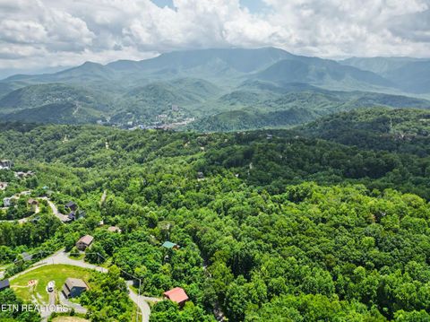 Photo of Twin Oaks Rd #39, Gatlinburg, TN 37738 (MLS # 1344522)