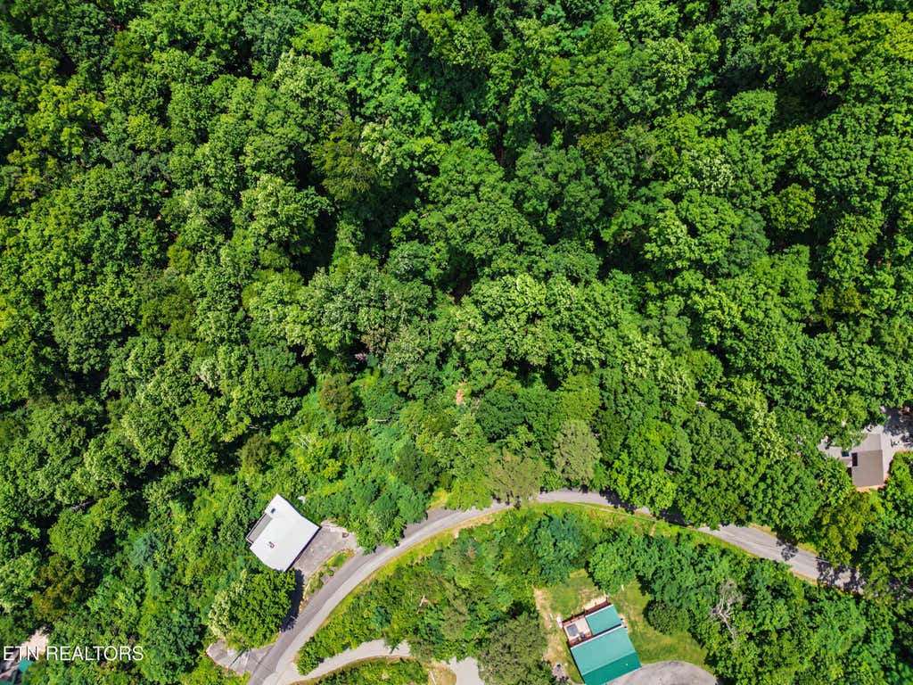 Photo of Twin Oaks Rd #39, Gatlinburg, TN 37738 (MLS # 1344522)