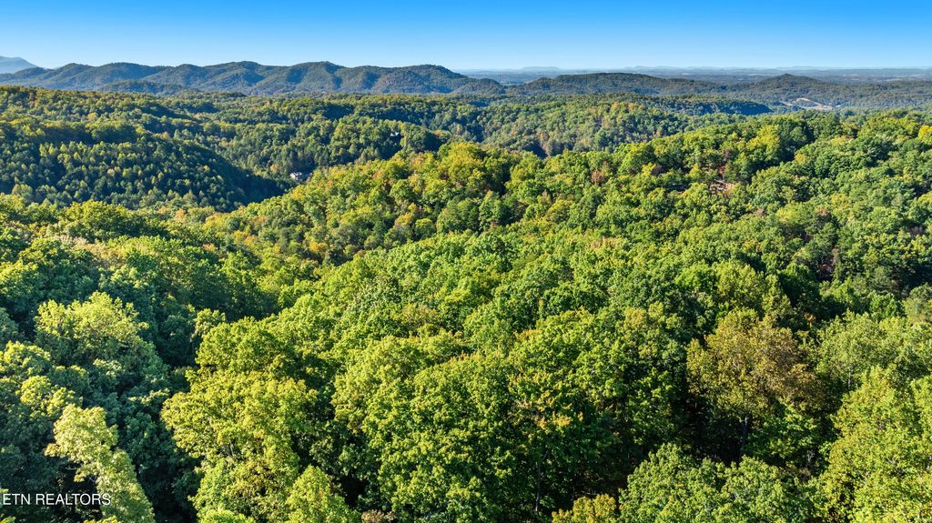 Photo of 0 Deer Ridge Lane, Sevierville, TN 37876 (MLS # 1326923)