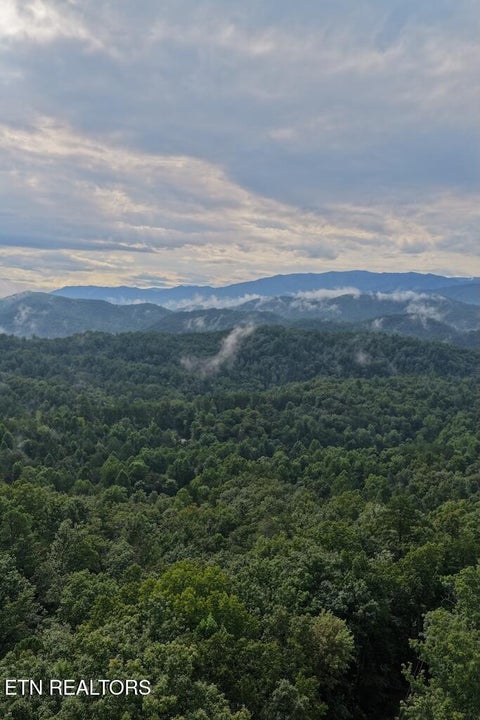 Photo of 44 Shady Oaks Way, Sevierville, TN 37876 (MLS # 1353037)