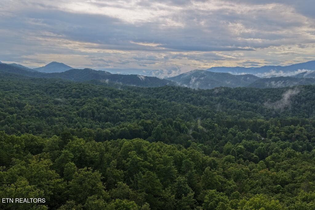 Photo of 44 Shady Oaks Way, Sevierville, TN 37876 (MLS # 1353037)