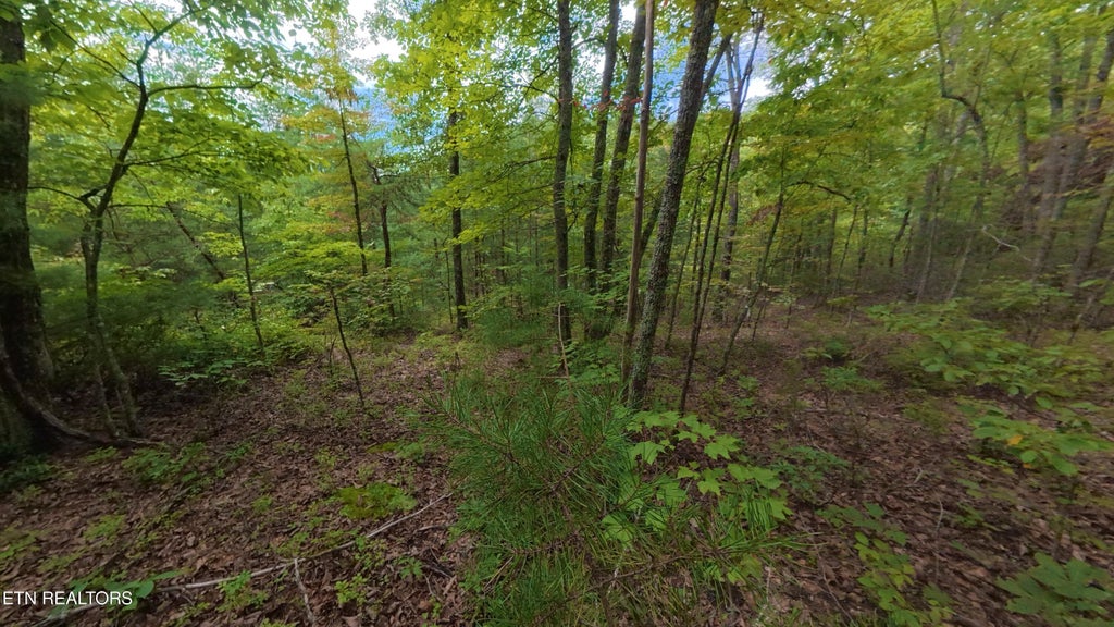 Photo of 44 Shady Oaks Way, Sevierville, TN 37876 (MLS # 1353037)