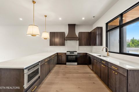 Tiny photo for 843 Vera Valley Way, Knoxville, TN 37919 (MLS # 1334410)