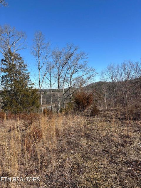 Tiny photo for Tract 4 Rule Hollow Rd, Sevierville, TN 37876 (MLS # 1330202)