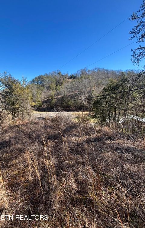 Tiny photo for Tract 4 Rule Hollow Rd, Sevierville, TN 37876 (MLS # 1330202)