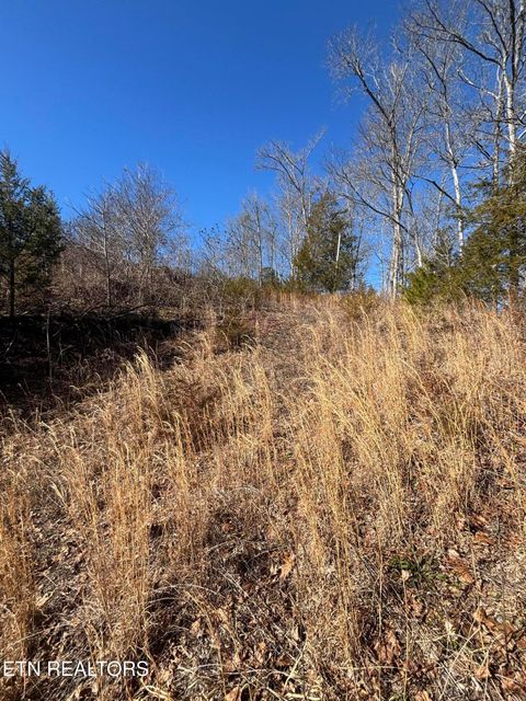 Tiny photo for Tract 4 Rule Hollow Rd, Sevierville, TN 37876 (MLS # 1330202)