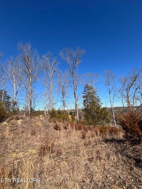 Tiny photo for Tract 4 Rule Hollow Rd, Sevierville, TN 37876 (MLS # 1330202)