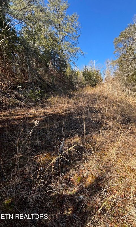 Tiny photo for Tract 4 Rule Hollow Rd, Sevierville, TN 37876 (MLS # 1330202)