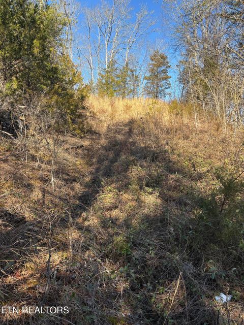 Tiny photo for Tract 4 Rule Hollow Rd, Sevierville, TN 37876 (MLS # 1330202)