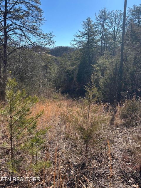 Tiny photo for Tract 4 Rule Hollow Rd, Sevierville, TN 37876 (MLS # 1330202)