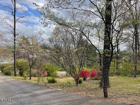 Tiny photo for 111 Abner Cruze Rd, Knoxville, TN 37920 (MLS # 1334745)